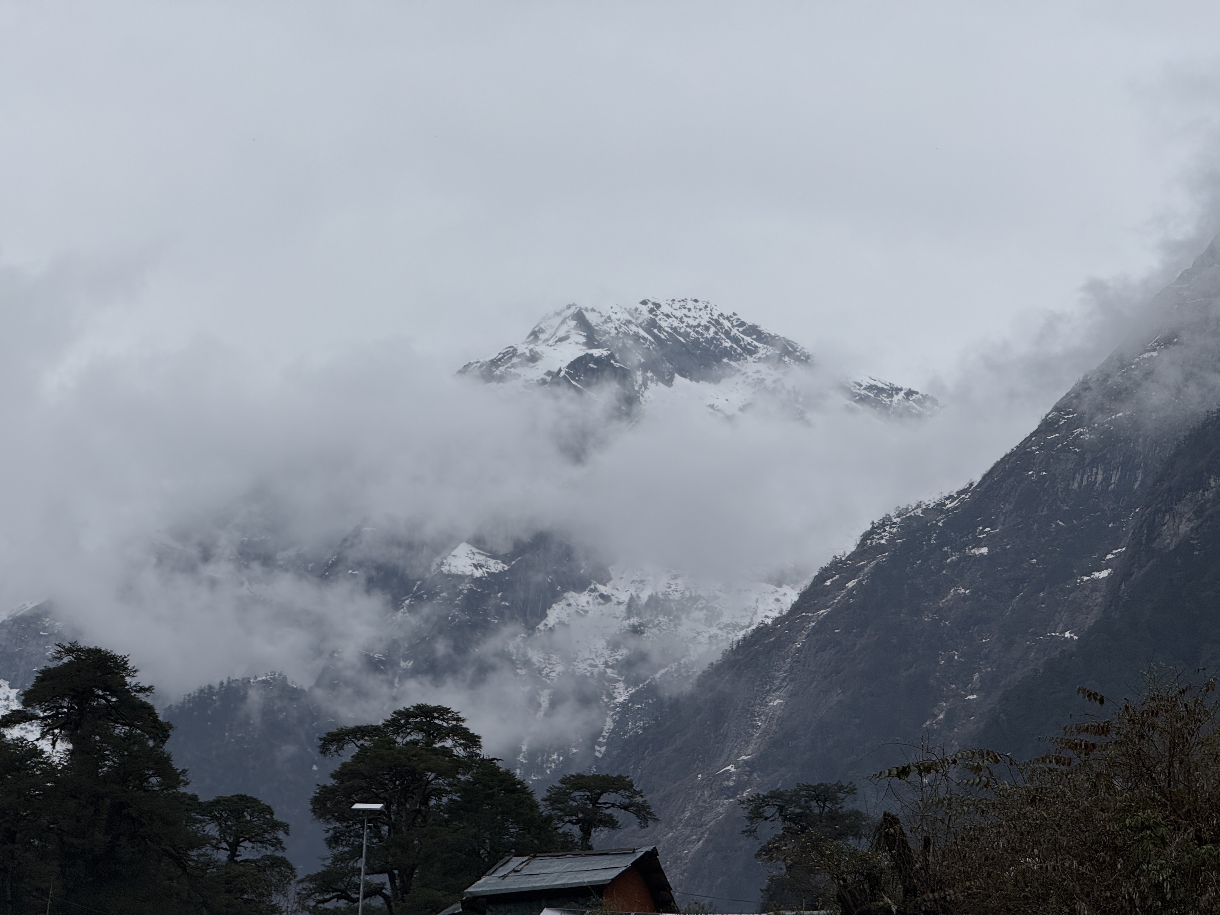 Slow Down to See More